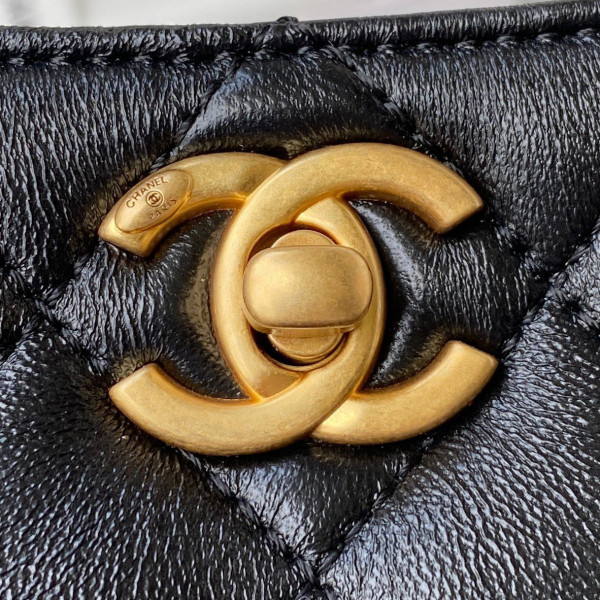 CL HOBO HANDBAG